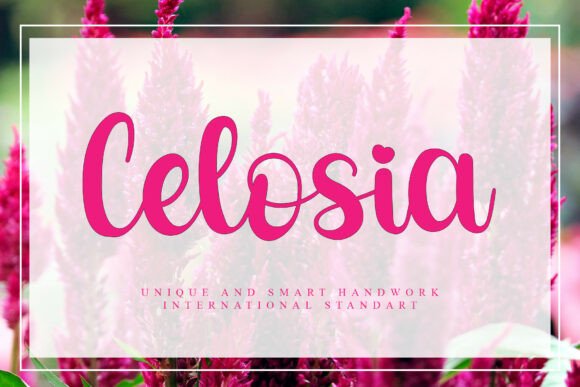 Celosia: A Unique and Elegant Font for Your Projects