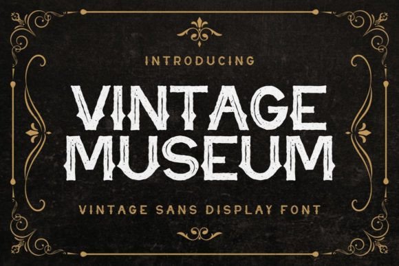 Discover Vintage Museum: A Display Font with Timeless Charm